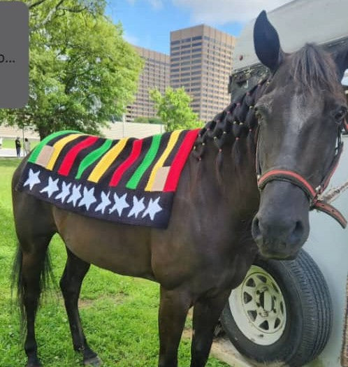 Juneteenth Blanket